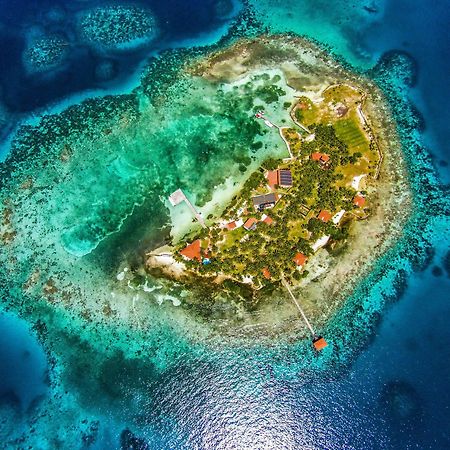 Hatchet Caye Island Resort (Adults Only) Placencia Buitenkant foto