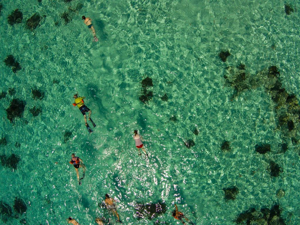 Hatchet Caye Island Resort (Adults Only) Placencia Buitenkant foto