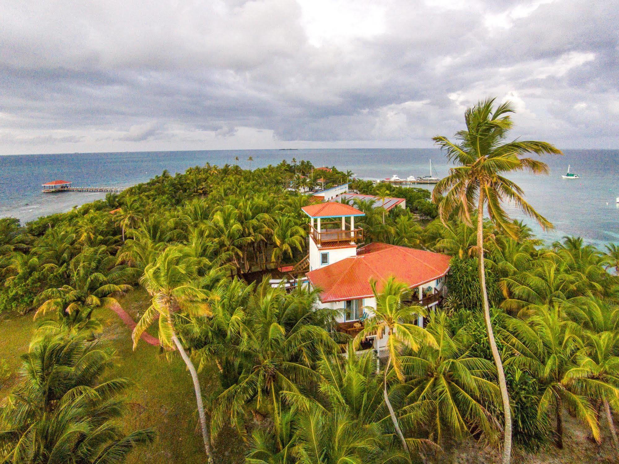 Hatchet Caye Island Resort (Adults Only) Placencia Buitenkant foto