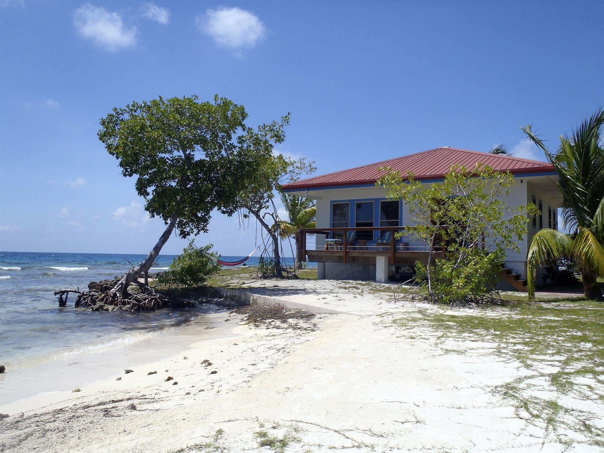 Hatchet Caye Island Resort (Adults Only) Placencia Buitenkant foto