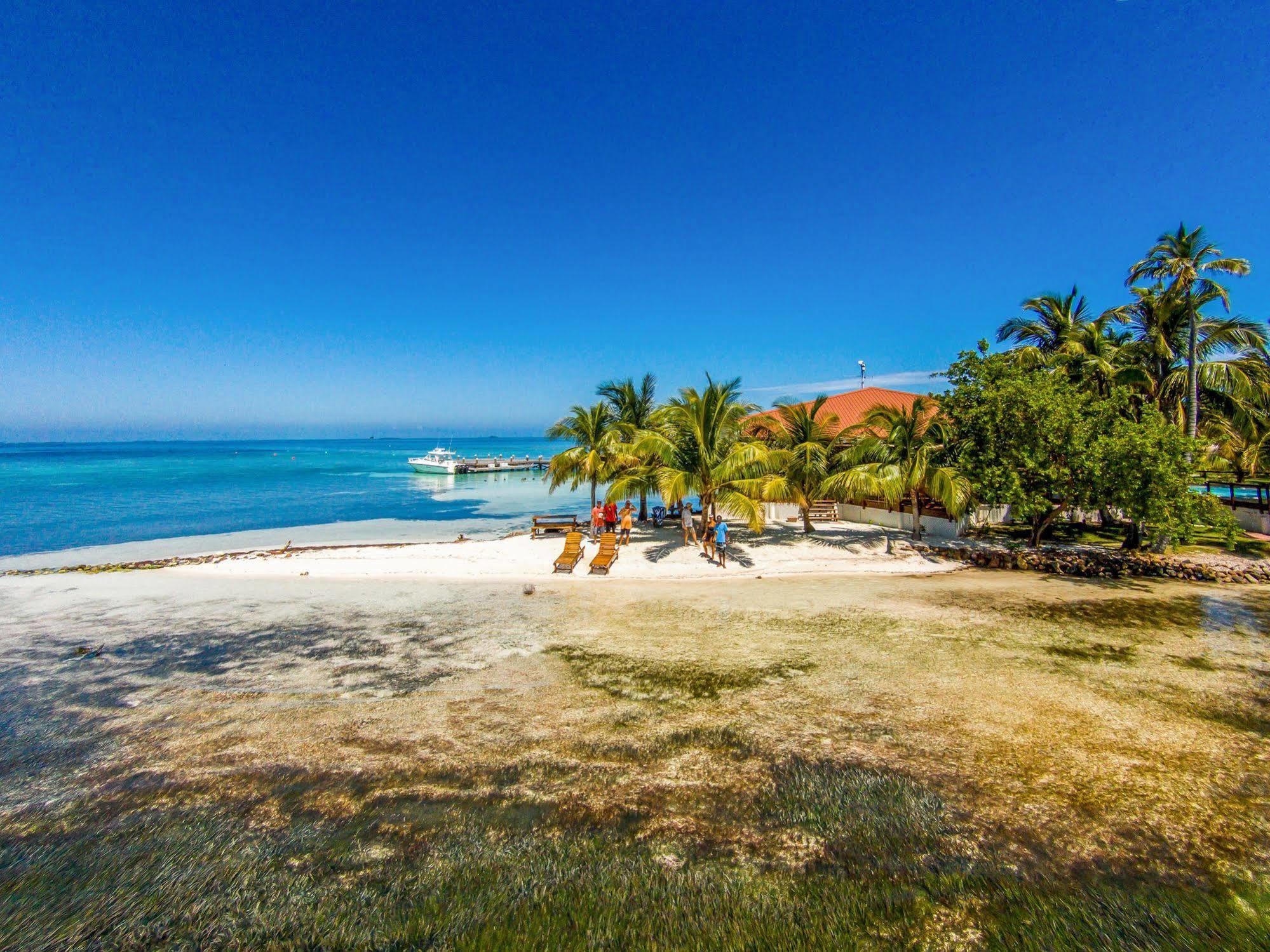 Hatchet Caye Island Resort (Adults Only) Placencia Buitenkant foto