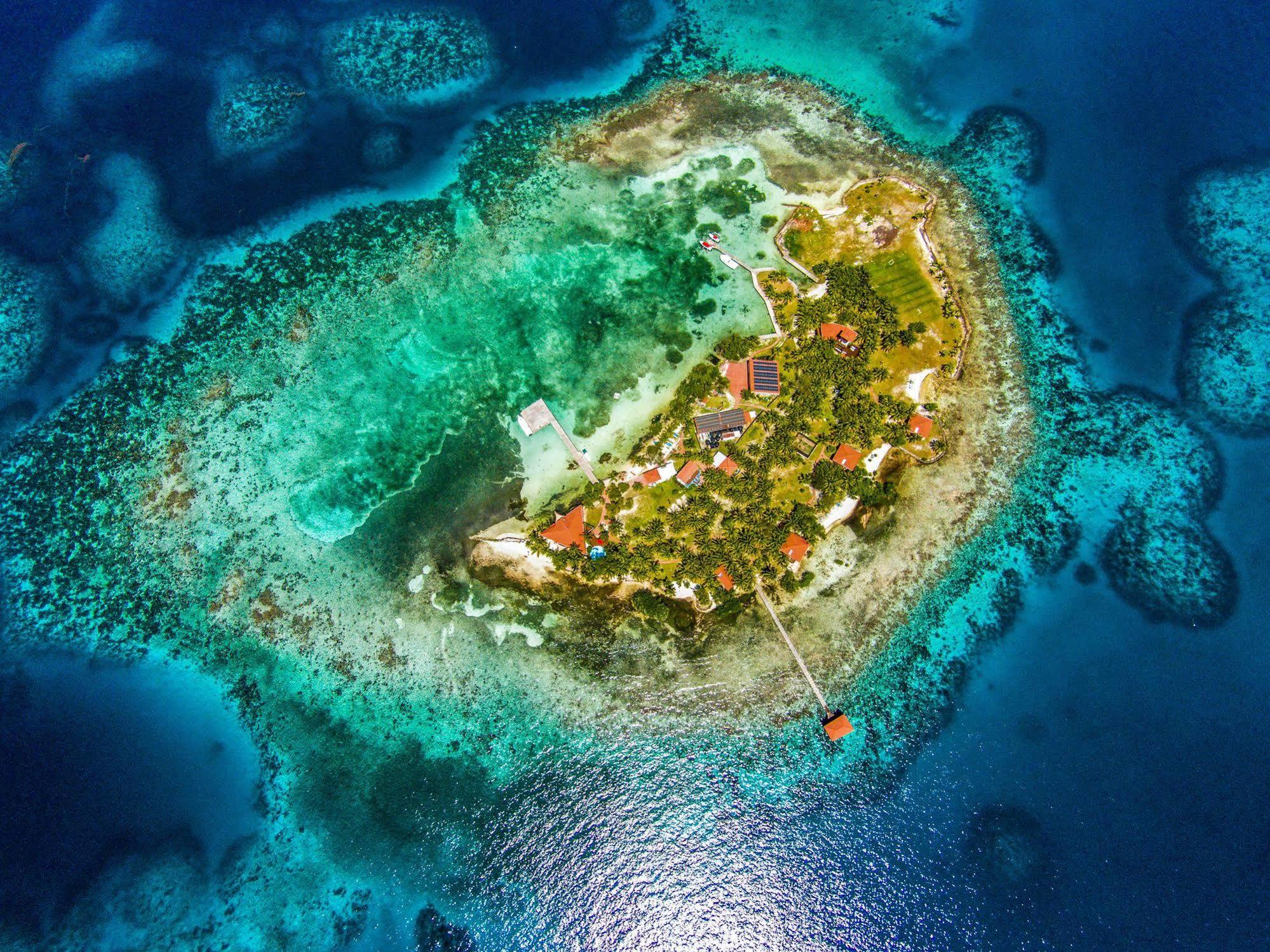 Hatchet Caye Island Resort (Adults Only) Placencia Buitenkant foto