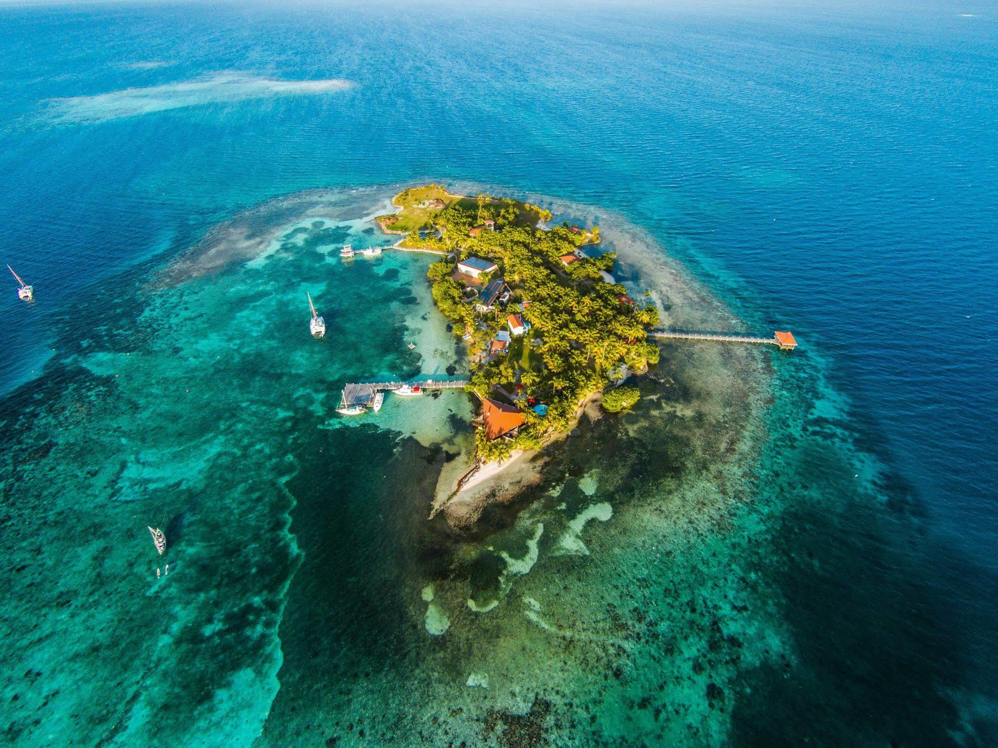 Hatchet Caye Island Resort (Adults Only) Placencia Buitenkant foto