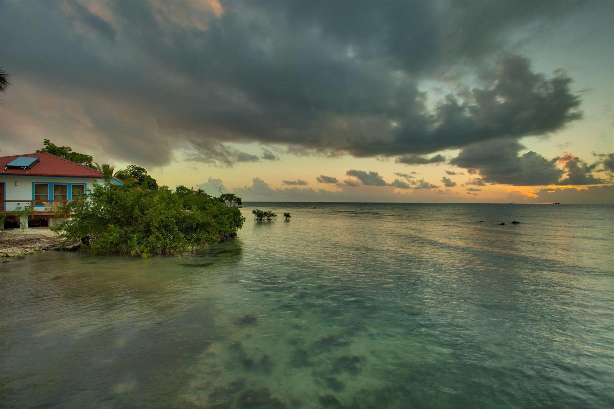 Hatchet Caye Island Resort (Adults Only) Placencia Buitenkant foto